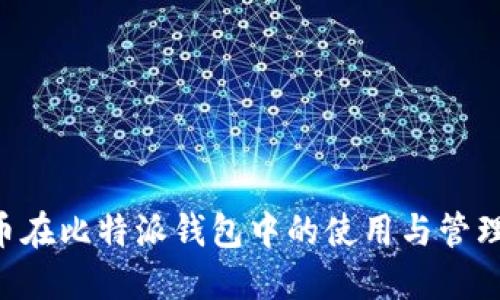ICO币在比特派钱包中的使用与管理指南