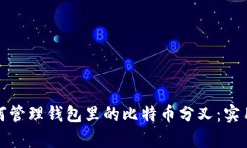 : 如何管理钱包里的比特币分叉:实用指南
