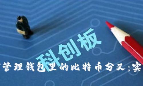 : 如何管理钱包里的比特币分叉:实用指南