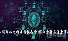 如何导入比特币钱包备份：详细步骤与注意事项