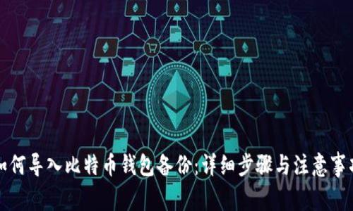如何导入比特币钱包备份:详细步骤与注意事项