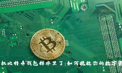 手机比特币钱包掉水里了:如何挽救你的数字资产
