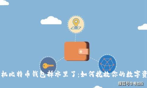 手机比特币钱包掉水里了:如何挽救你的数字资产