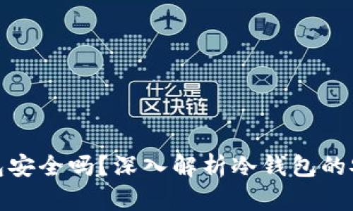 比特币冷钱包安全吗?深入解析冷钱包的安全性与风险