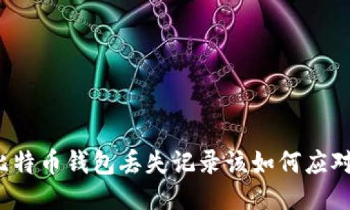 比特币钱包丢失记录该如何应对?