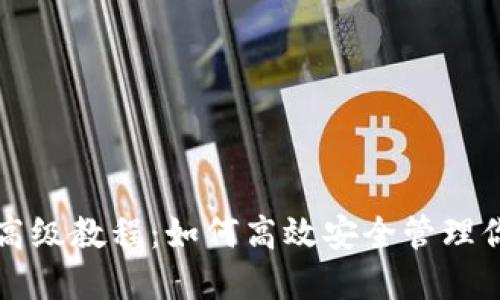 比特币钱包高级教程:如何高效安全管理你的数字资产