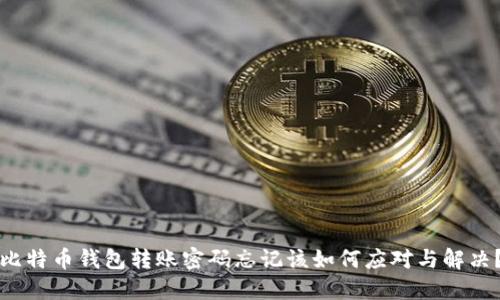 比特币钱包转账密码忘记该如何应对与解决?