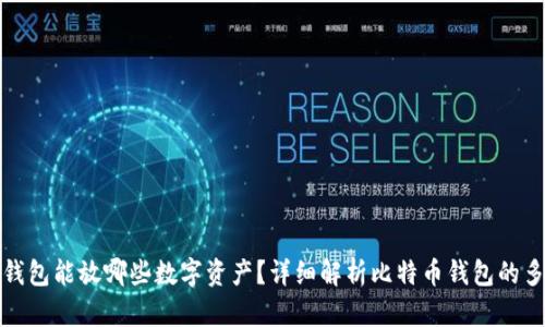 比特币钱包能放哪些数字资产?详细解析比特币钱包的多功能性