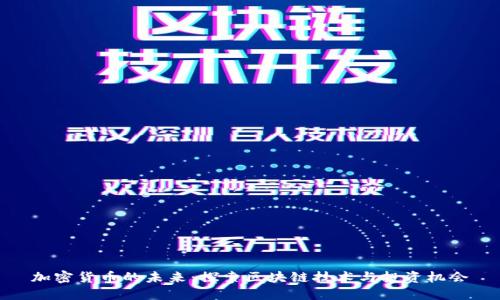 加密货币的未来:探索区块链技术与投资机会