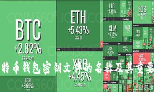 比特币钱包密钥文件的名称及其重要性