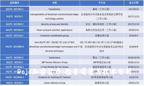  Dojo加密货币：投资前景与技术分析