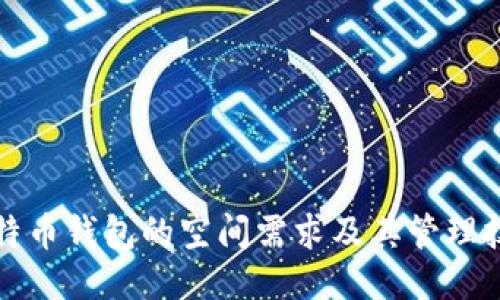 比特币钱包的空间需求及其管理技巧