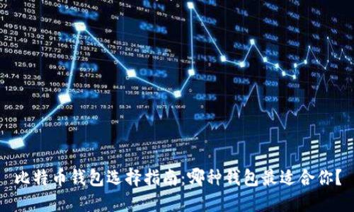 比特币钱包选择指南：哪种钱包最适合你？