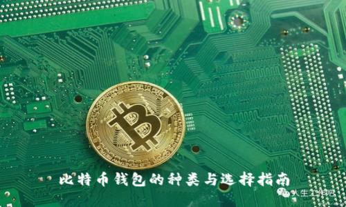 比特币钱包的种类与选择指南