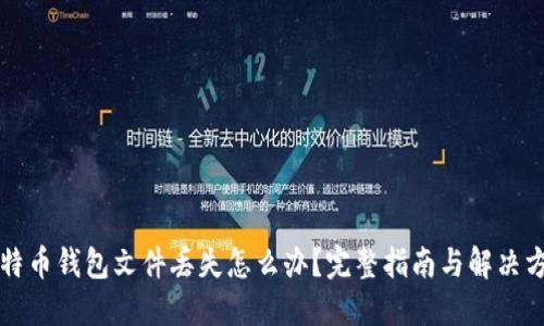 比特币钱包文件丢失怎么办?完整指南与解决方案