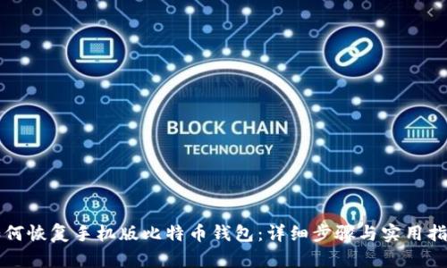 如何恢复手机版比特币钱包:详细步骤与实用指南