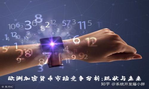 欧洲加密货币市场竞争分析:现状与未来