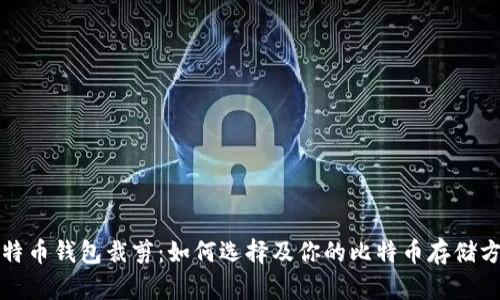 比特币钱包裁剪:如何选择及你的比特币存储方案