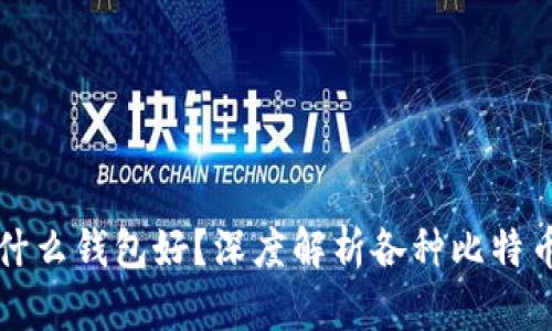 比特币交易用什么钱包好?深度解析各种比特币钱包的优缺点