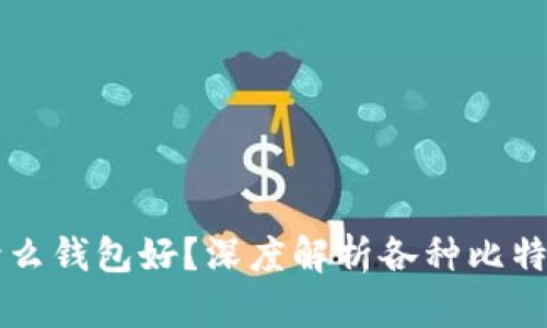 比特币交易用什么钱包好?深度解析各种比特币钱包的优缺点