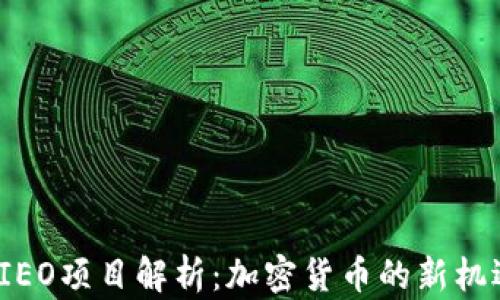 
2023年IEO项目解析：加密货币的新机遇与挑战