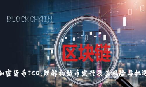 加密货币ICO:理解初始币发行及其风险与机遇