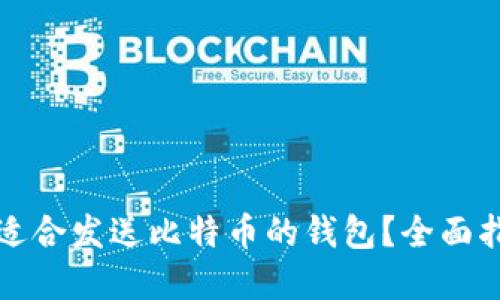 如何选择适合发送比特币的钱包?全面指南与推荐