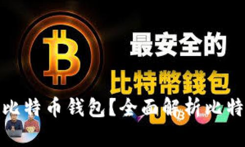 如何选择安全的比特币钱包?全面解析比特币钱包的安全性