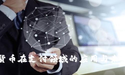 加密货币在支付领域的应用与未来展望