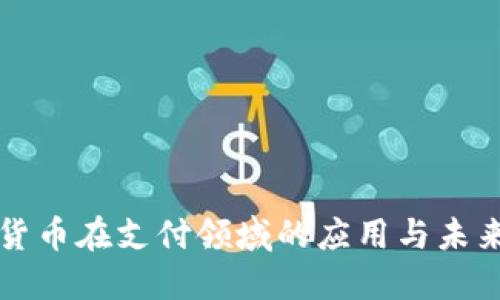 加密货币在支付领域的应用与未来展望