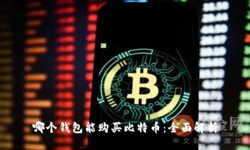 哪个钱包能购买比特币:全面解析