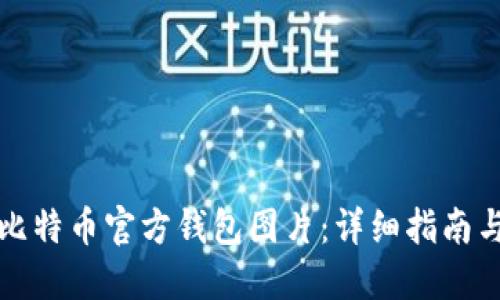 如何下载比特币官方钱包图片:详细指南与实用技巧