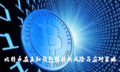 比特币在未知钱包转移的风险与应对策略