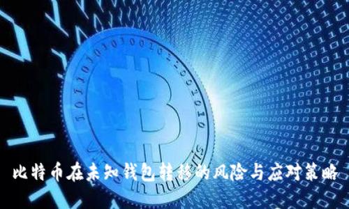 比特币在未知钱包转移的风险与应对策略