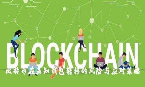 比特币在未知钱包转移的风险与应对策略