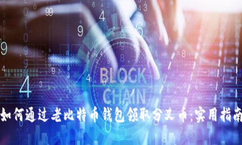 如何通过老比特币钱包领取分叉币:实用指南