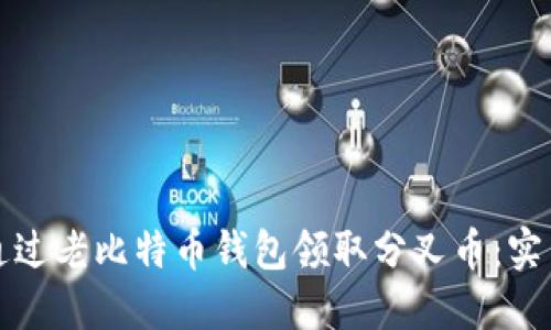 如何通过老比特币钱包领取分叉币:实用指南