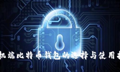 手机端比特币钱包的选择与使用指南