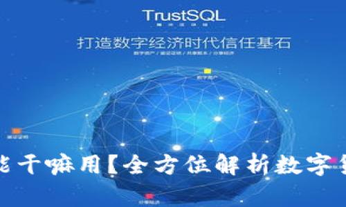 加密数字货币能干嘛用?全方位解析数字货币的应用价值