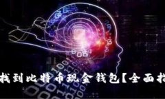 哪里可以找到比特币现金钱包？全面指南与推荐