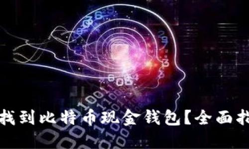 哪里可以找到比特币现金钱包?全面指南与推荐