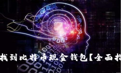 哪里可以找到比特币现金钱包?全面指南与推荐