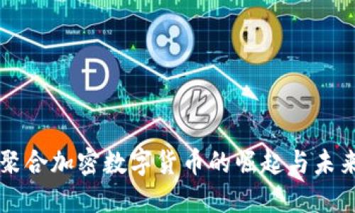 小众聚合加密数字货币的崛起与未来展望