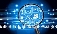 如何通过比特币钱包密码公开网站查询找回密码