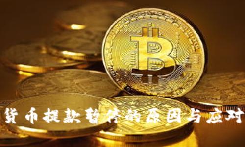 加密货币提款暂停的原因与应对措施