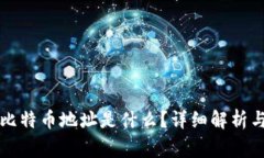 钱包里的比特币地址是什么？详细解析与常见问