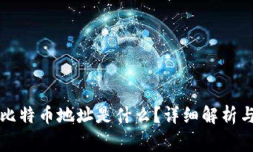 钱包里的比特币地址是什么?详细解析与常见问题