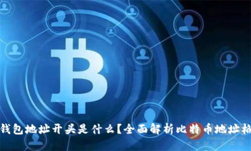 : 比特币钱包地址开头是什么?全面解析比特币地址格式与类型