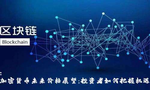 :
加密货币未来价格展望:投资者如何把握机遇