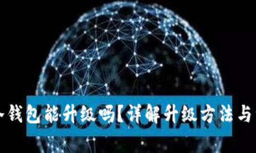 比特币冷钱包能升级吗?详解升级方法与注意事项